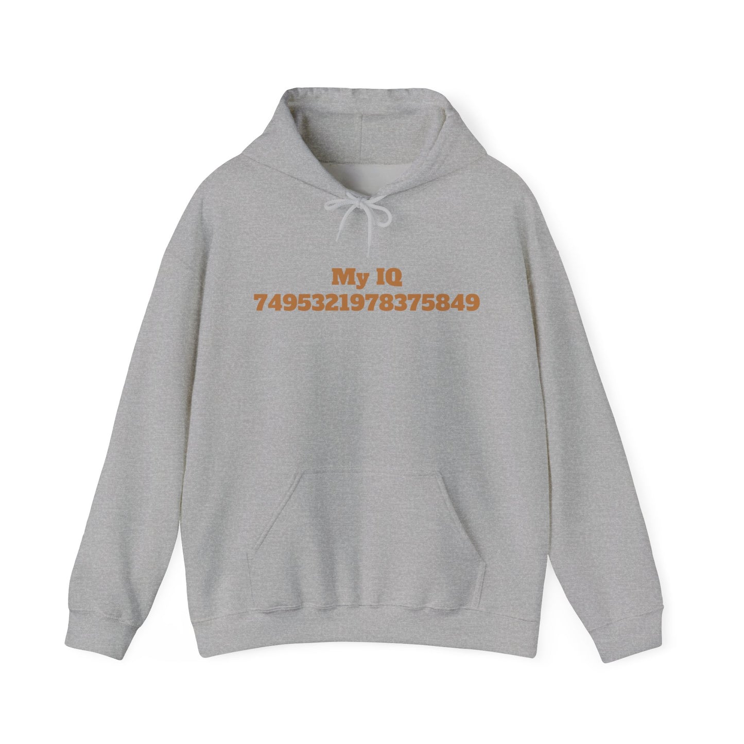 My IQ Hooded Sweatshirt