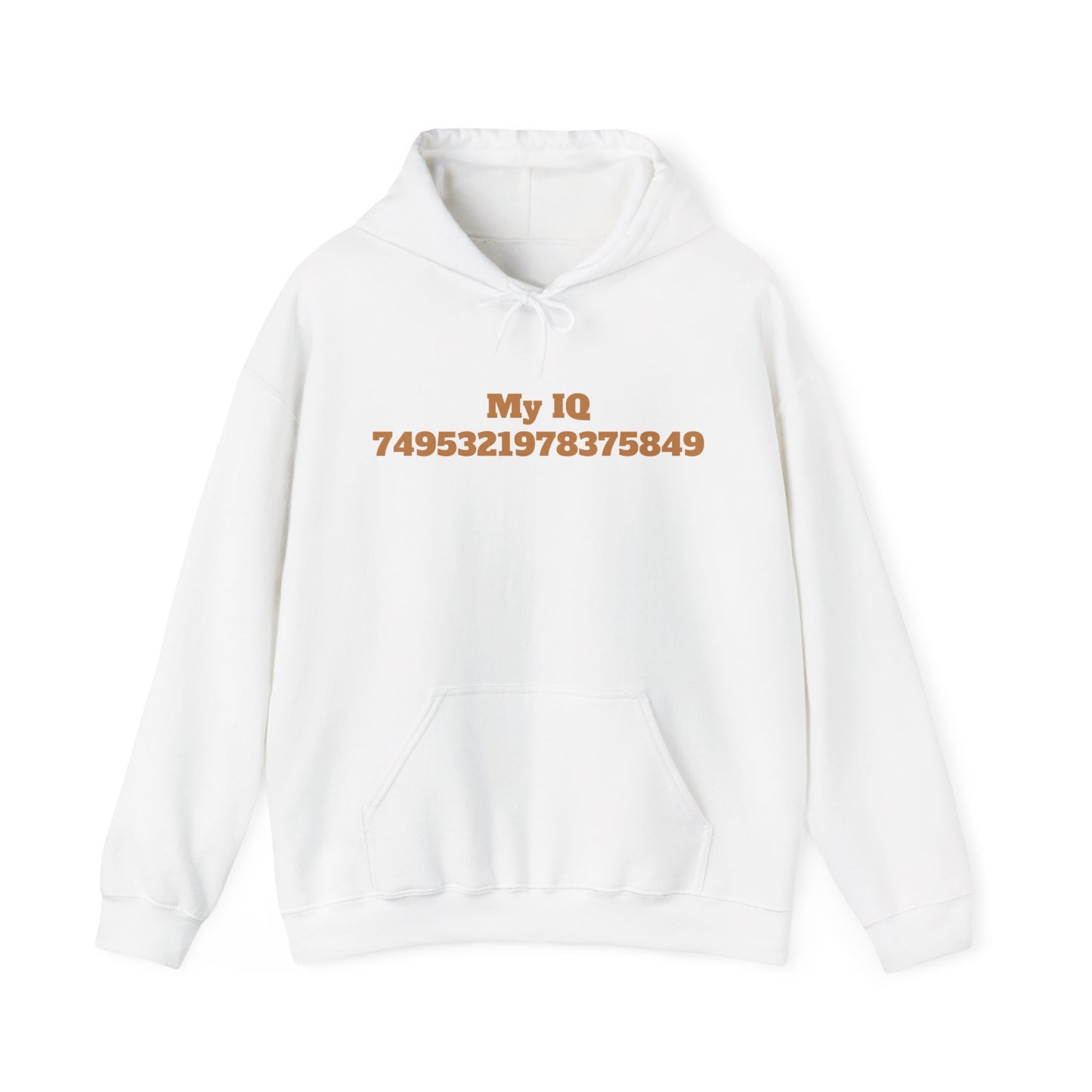 My IQ Hooded Sweatshirt