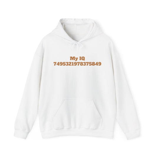 My IQ Hooded Sweatshirt